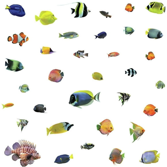 Tropical Fish Bluecheek Butterflyfish SG Vinyl Window Decal ©YYDC CLR:WND Tropical Fish Bluecheek Butterflyfish SG Vinyl Window Decal ©YYDC CLR:WND